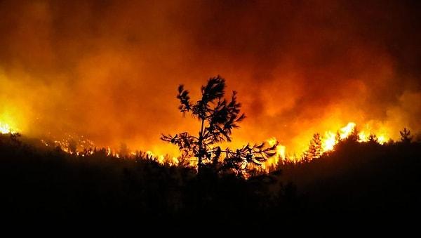 Ülkemizde çıkan orman yangınları o kadar korkutucu bir hal aldı ki... Göz göre göre yanıyoruz, havadan yeterince müdahale edilemediği için kontrol altına alamıyoruz yangınları.