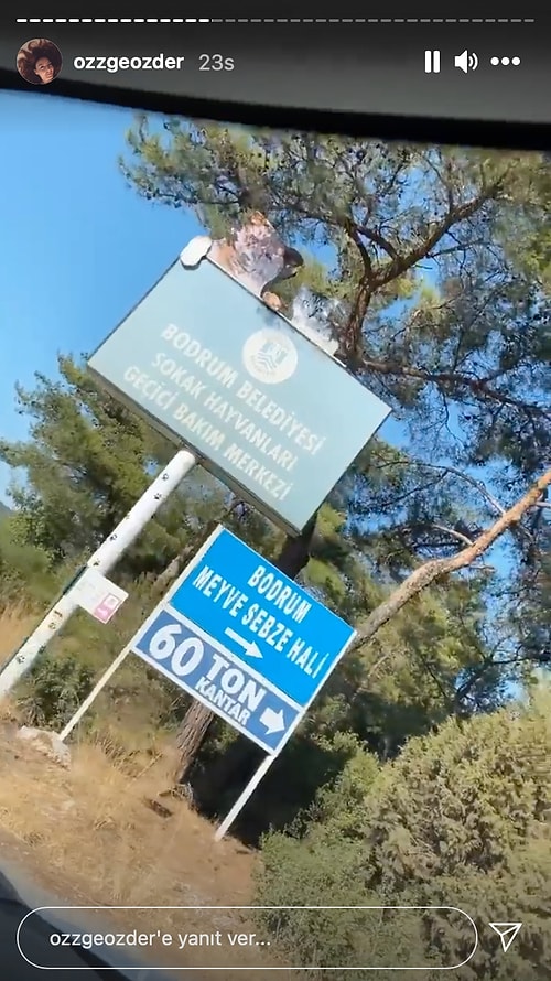 Tüm İmkanlarını ve Kitlesini Kullanarak Yangın Bölgelerine Destek Olmak İçin Canını Dişine Takan Ünlülerimiz