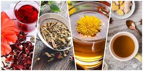 Yağ Yakan Bitkisel Çay Tarifleri: Evde Zayıflatan Çaylar Nasıl Yapılır?