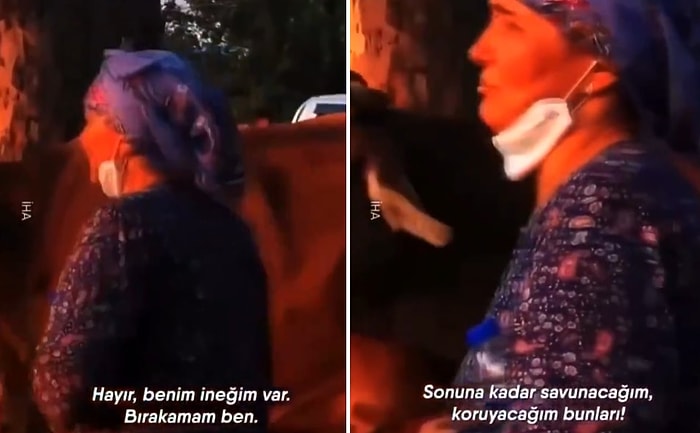 'Sonuna Kadar Savunacağım, Koruyacağım' Diyen Teyze: İneklerim Var Benim Gelemem, Denize Atlarım