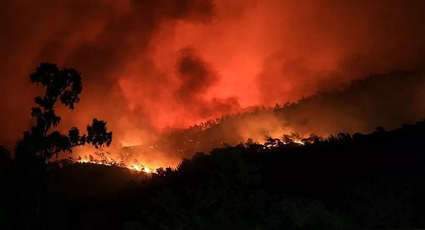 07:31 Otomobilde çıkan yangın ormana sıçradı: 3 hektar alan küle döndü.