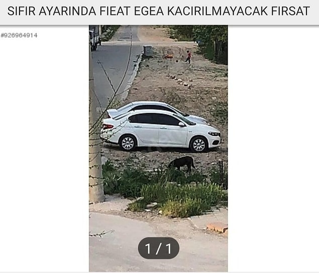 12. Aniden gaza gelip evden fotoğrafını çekerek ilana koymuş gibi...