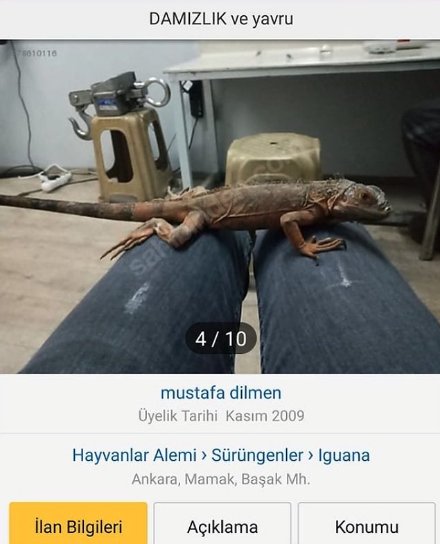 14. Gözlerimiz kesinlikle yanıltıyor bizi...