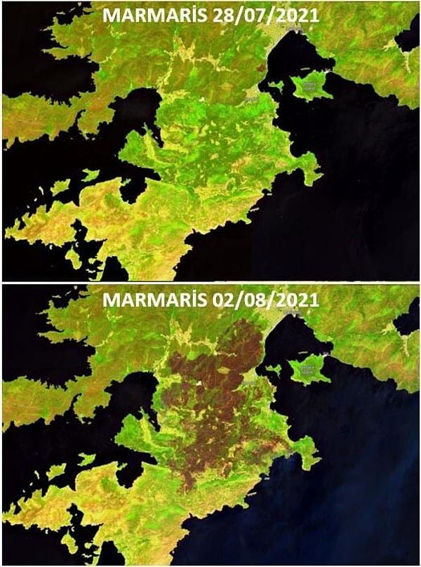 Ege ve Akdeniz'de yaşanan orman yangınlarının boyutu işte böyle görüntülendi...