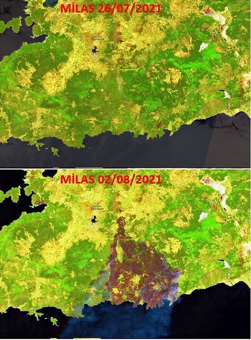 547 BİN DEKAR! 2 Ağustos’a Dek Yanan Alanlar Uydu Üzerinden Tespit Edildi