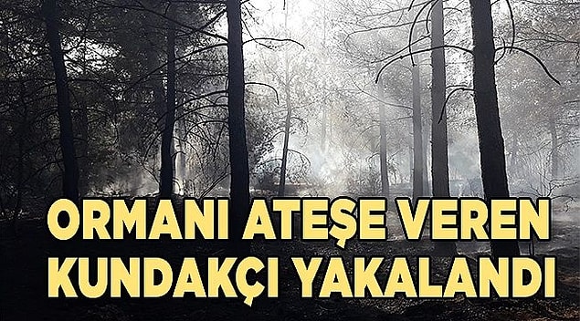 Sorumlu bulma ve bahane bulma
