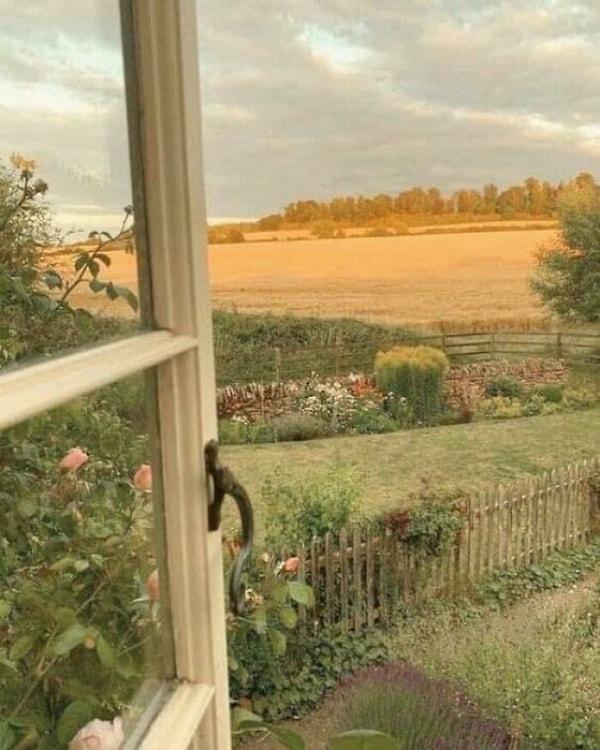 10. "Açık bir çayıra bakan pencere."