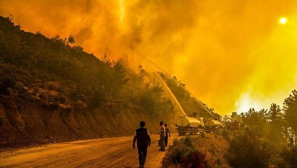Günlerce dinmeyen Manavgat yangını büyük ölçüde bitse de hala daha tamamen geçmiş değil. Yangının büyük bölümü bitti evet, çünkü daha fazla yanacak yer kalmadı.