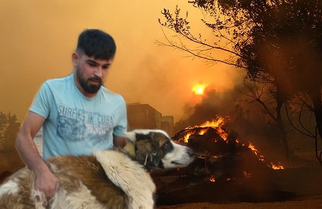 İnsanlar evlerini barklarını bırakıp hayvanlarına sahip çıkmaya çalıştılar. Birçok hayvan telef oldu, birçok ev yandı...