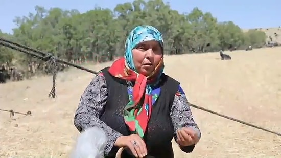 Yörük Kadını Pervin Çoban Savran'dan Doğa ve Yaşam Dersi: 'Yok Eden Yaşam Biçimine Yöneldi İnsanoğlu'