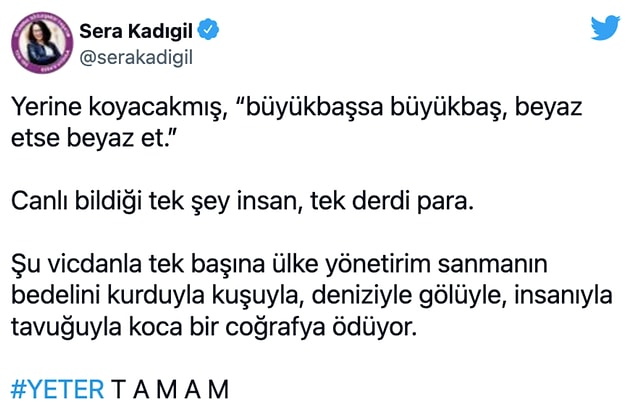 Erdoğan açıklamalarının ardından sosyal medyada eleştiri oklarının hedefi oldu...