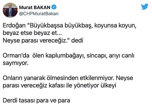Hepsinin Ödemesini Yapacakmış! Erdoğan Yangında Hayatını Kaybeden Canlılardan 'Beyaz Et' Diye Bahsetti...