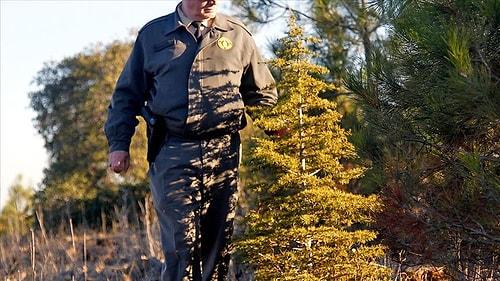 Sayıştay Raporundan: Orman Genel Müdürlüğü Envanter Çıkarmamış