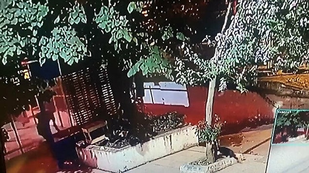 Üsküdar Bağlarbaşı Mahallesi'nde meydana gelen olayda, kimliği belirsiz bir kişi, sokak kedilerinden birini önce kendine doğru çekti ardından kediyi tutarak tenha bir noktaya götürdü daha sonra ise kediye defalarca tekme attı.