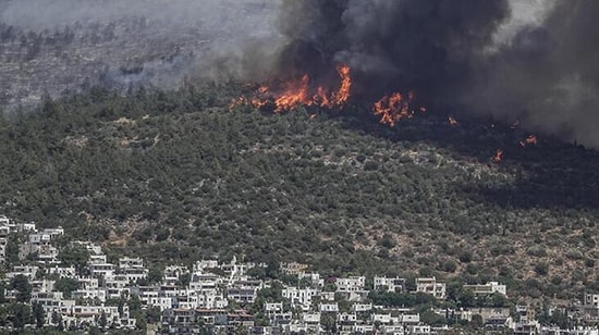 Bodrum Mumcular'daki Yangınla İlgili 3 Kişi Tutuklandı: Sigara İzmaritinden Çıkmış