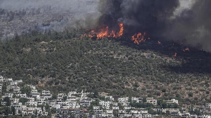 Bodrum Mumcular'daki Yangınla İlgili 3 Kişi Tutuklandı: Sigara İzmaritinden Çıkmış