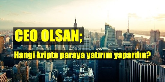 Bir Şirketin Olsa Hangi Coin’e Yatırım Yapacağını Söylüyoruz!