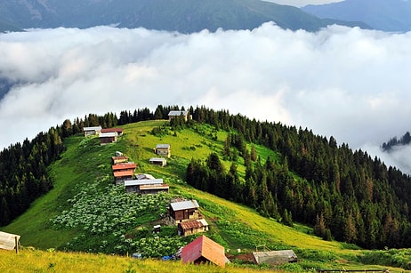 Artvin'de Gezilecek Yerler: Artvin'de Ne Yenir, Tadılması Gereken Yemekleri Nelerdir?