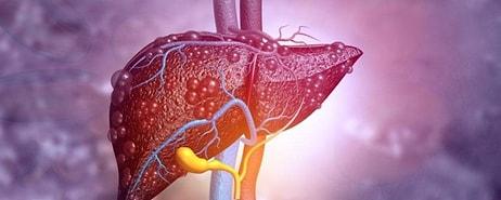 Karaciğer Hastalıkları İçin Hangi Bölüme Gidilir?