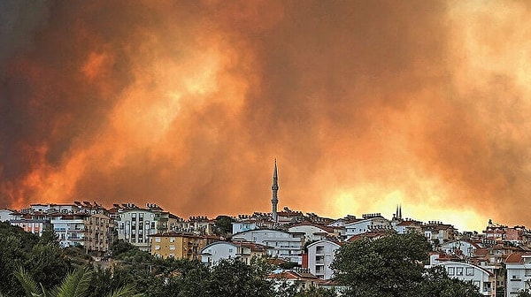 Nefesimiz dediğimiz güzeli ağaçlarımız heba oldu... Hayvanlar, binbir emekle inşa edilen evler ve eşyalar da yok oluyor. Adeta bir kabusun içindeyiz ve bunun bir an önce de bitmesini bekliyoruz.