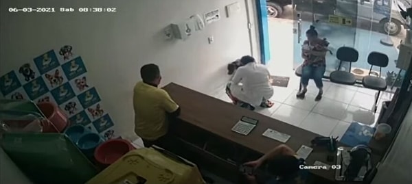 «Когда пес вошел, он выставил травмированную лапу вперед, как будто поздоровался и показал, что ему больно», - сказал ветеринар