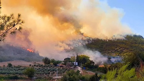 Orman Yangınları İçin Gelen Azerbaycanlı Asker Kardeşlerimize 'Ne İdüğü Belirsiz' Diyen Nüket Eroğlu Gündemde