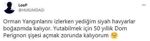 Kenan İmirzalıoğlu'nun Ülkemizdeki Orman Yangınlarıyla İlgili Açıklaması Toplumsal Medyanın Gündeminde!