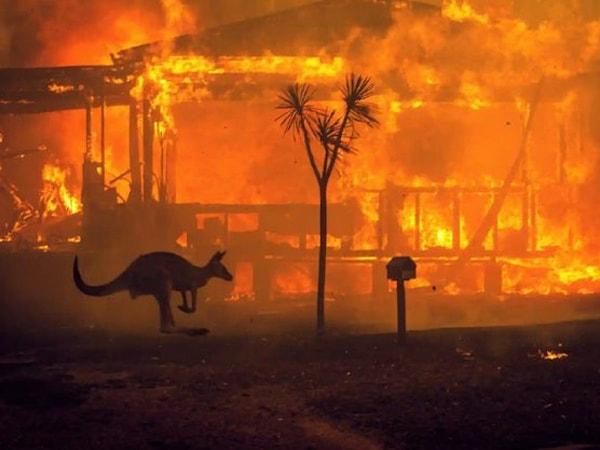 1. Öncelikle 2019 yılının Eylül ayında Avusturalya'da ardı arkası kesilmeyen yangınlar başladı. 5 milyon hektarlık alana yayılan yangınlar 1500 üzerinde evi tahrip ederek 23 kişinin ölümüne sebep oldu.