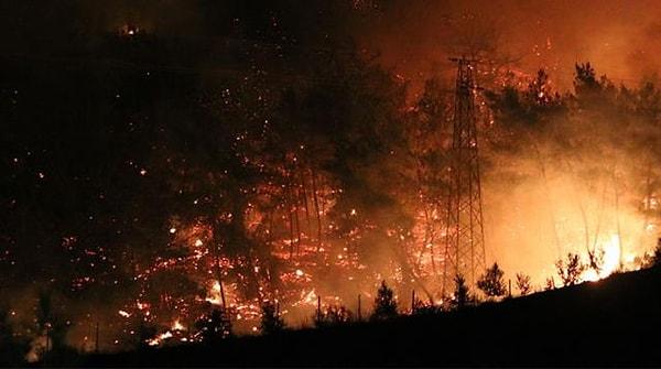 Son günlerde ülkemizde meydana gelen orman yangınları nedeniyle hepimiz seferber olmuş haldeyiz. Ünlü isimler de aynı şekilde kendi platformlarından yangınlarla ilgili ellerinden geleni yapıyorlar.