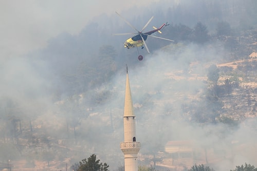 Manavgat Yangınının Bilançosu: 7 İnsan, Yüzlerce Hayvan, 60 Bin Hektar ve En Az 1 Milyar TL'lik Maddi Kayıp