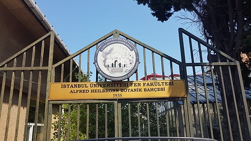 Diyanet'e Devredilen Atatürk'ün Kurduğu İstanbul Üniversitesi Botanik Bahçesi'nin Yok Edilmesi Gündemde