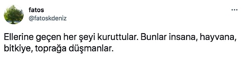 Diyanet'e Devredilen Atatürk'ün Kurduğu İstanbul Üniversitesi Botanik Bahçesi'nin Yok Edilmesi Gündemde