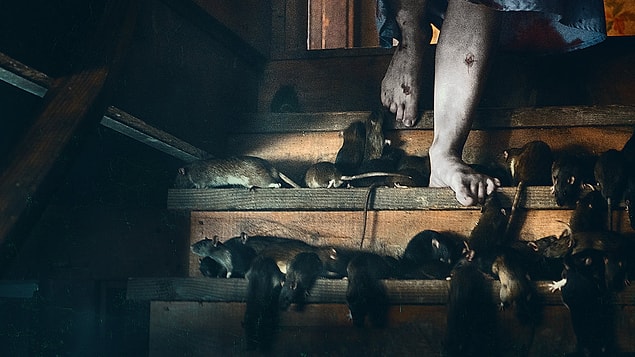 122. 1922 (2017)
