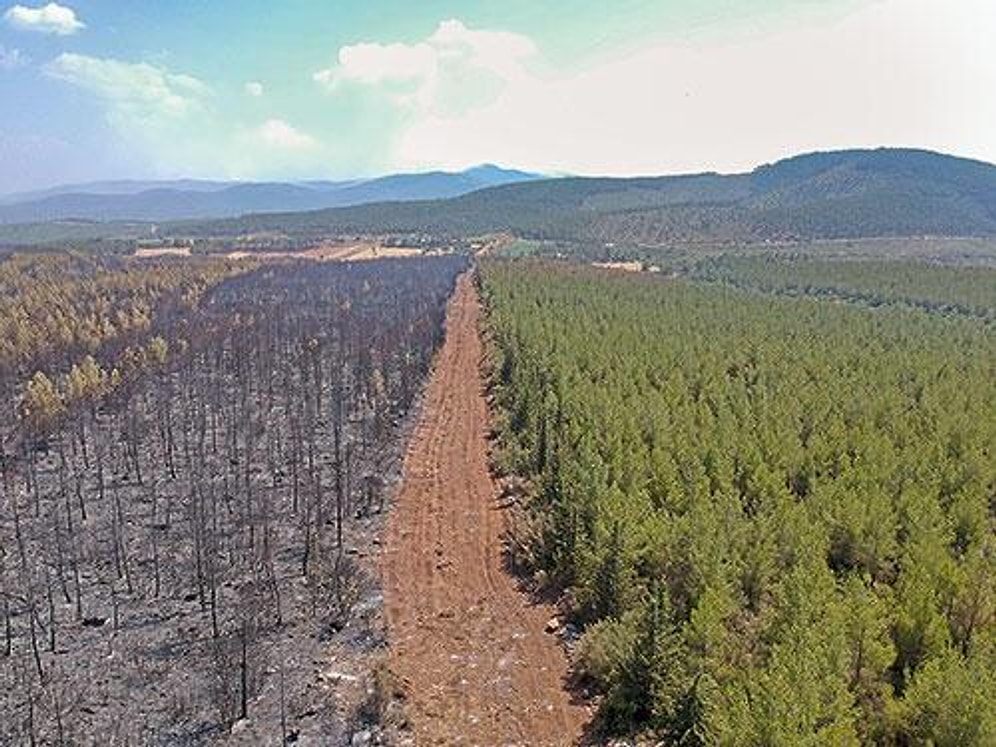 İşte 'Hayat Koridoru'nun Fotoğrafı: Alevler Emniyet Şeridini Geçemedi