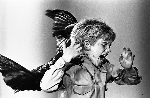 39. The Birds (1963)