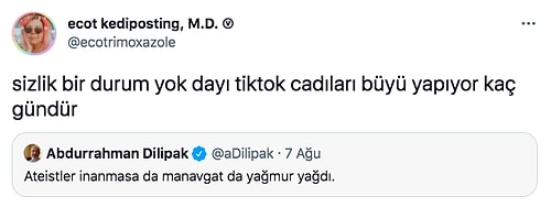 Pembe Pipet Görünce Kuduran Erkekten Akülü Otomobil Nefretine Kadar Twitter'da Günün Viral Olan Paylaşımları