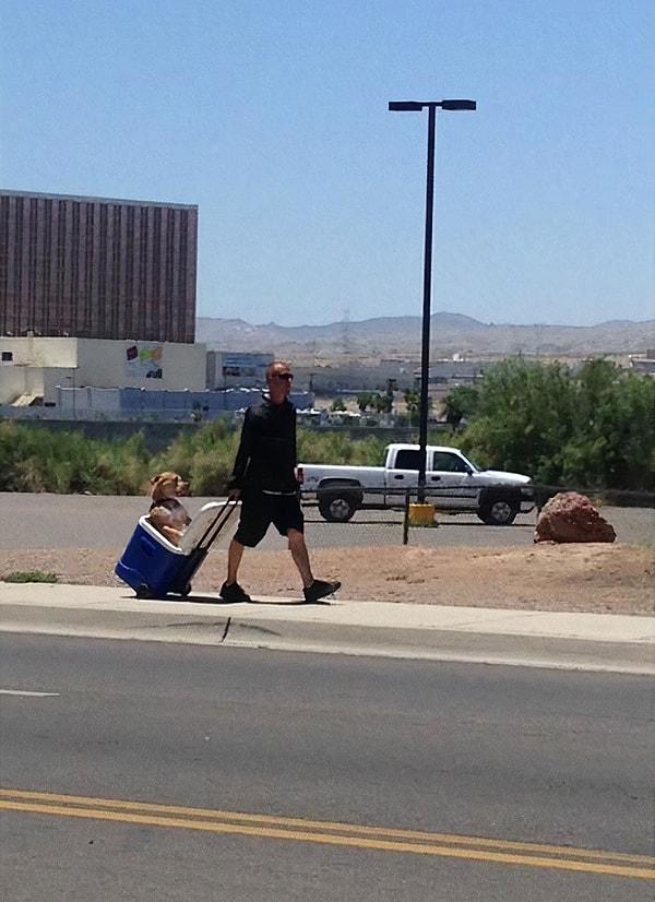3. Arizona sıcağında adam köpeğinin patilerinin yanmasını istemediği için onu soğutucuyla çekiyor.