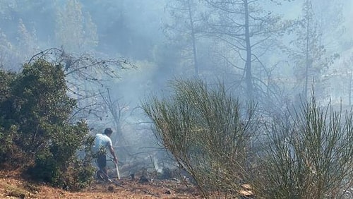 Yangınlarda Son Durum: Köyceğiz ve Bodrum'da Alevler Şiddetlendi