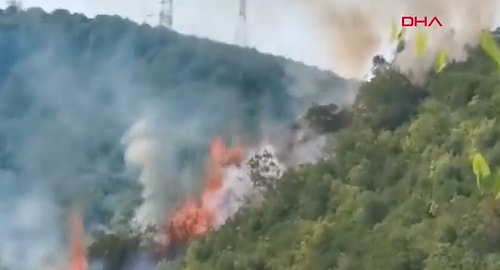 Yangınlarda Son Durum: Köyceğiz ve Bodrum'da Alevler Şiddetlendi