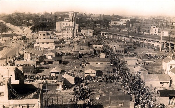 Karaborsanın yaygınlaşması