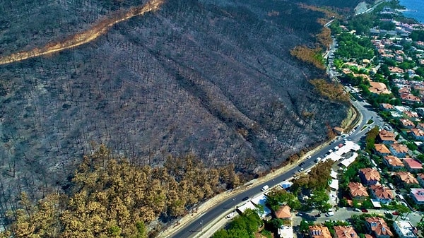 İçmeler Turunç Yolu mevkisinden panoramik olarak görülen ve kenti çevreleyen yanmış ormanlık alanları görenler büyük üzüntü yaşıyor.