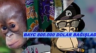 NFT'ler Yine İş Başında! BAYC Bir Orangutan Yardım Kuruluşuna 850.000 Dolar Bağışladı
