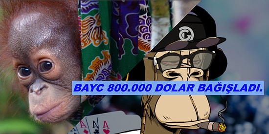 NFT'ler Yine İş Başında! BAYC Bir Orangutan Yardım Kuruluşuna 850.000 Dolar Bağışladı