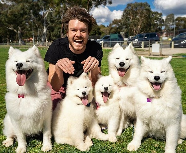 6. Как их много! Они слишком милые