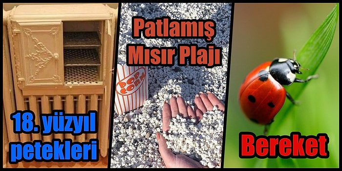 Hayatını Öğrenmeye Adayanlar İçin Farklı Yaşamlara Pencere Açan 19 Tweet