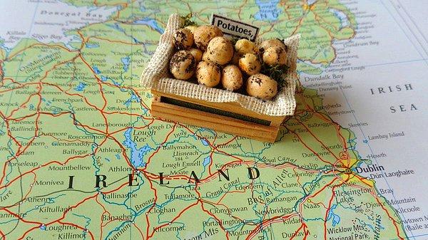 Patates keşfedilip dünyaya yayıldıktan sonra birçok ülkenin temel besin kaynakları arasına girdi. Bu ülkelerden biri de İrlanda'ydı.
