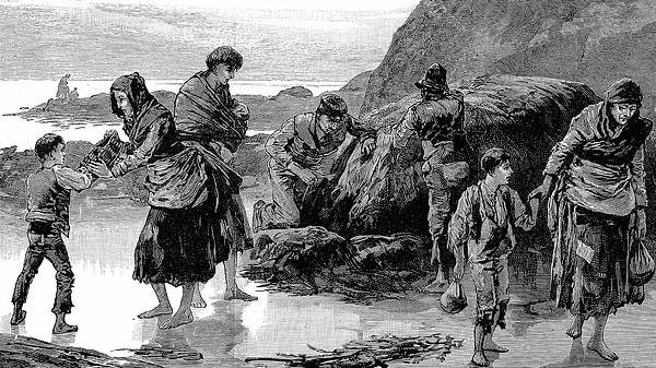 1845'te İrlanda'da da patates kıtlığı yaşanmaya başladı. 1852'ye kadar süren bu kıtlık bir felaketti, çünkü sadece patatesle beslenen milyonlarca yoksul vardı.