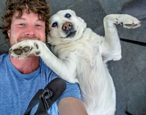 2. Какой милаш