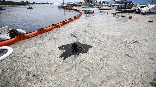 7 Temmuz'dan beri görülmüyor