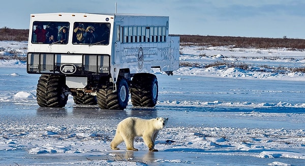 6. Churchill, Kanada